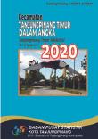 Tanjungpinang Timur Subdistrict in Figures 2020