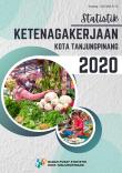 Employment Statistics Of Tanjungpinang Municipality 2020